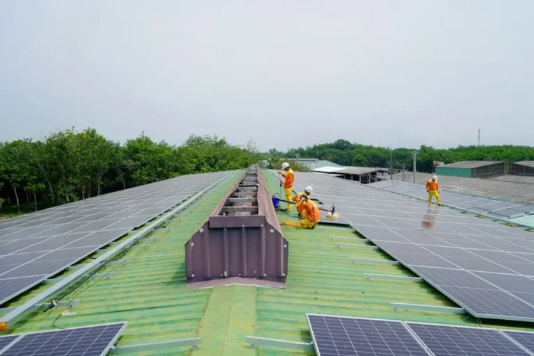 How Green Roofs Help Cities