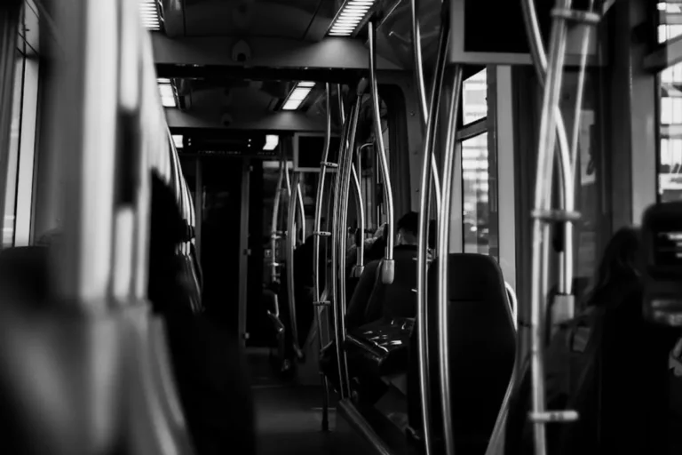 Public Transit-Oriented Development