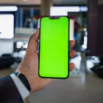 Shades OF Green Color: Meaning, Style, History, and Visual Guide